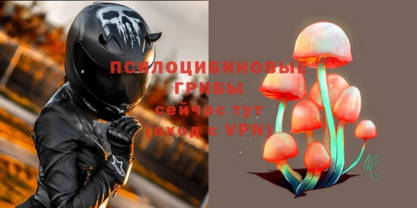 бошки Ростов